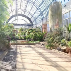 Auckland Domain winter garden