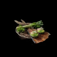 Hamachi by Saison