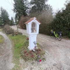 VID_20260303_132522_00_107_30000