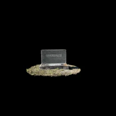 Greenwood Cemetery Parramore Family Gravestone