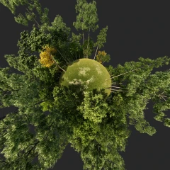 TINY PLANET – STILL LIFE