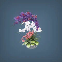 Flowers 01