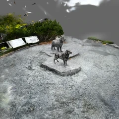 Harbourside Park Dogs