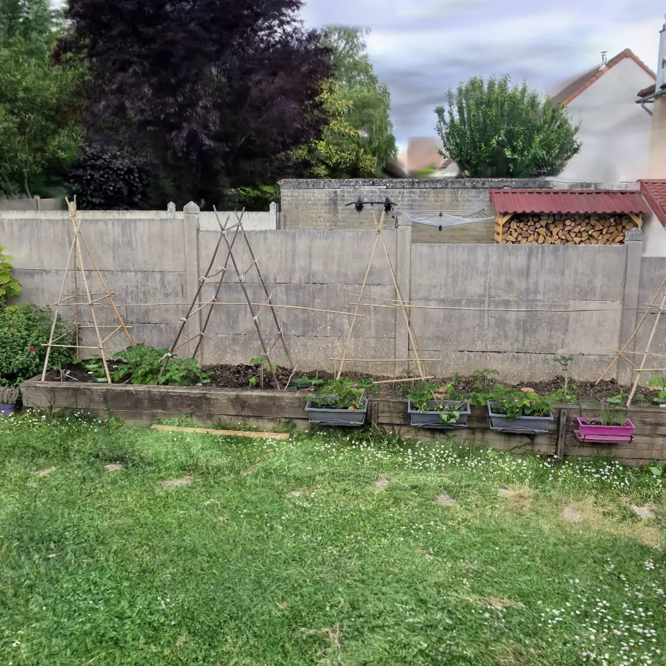 Jardin (rough clean)