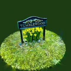Tumblewood flowers