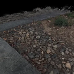 20251229x5