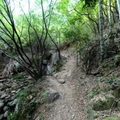 Bamboo Trail