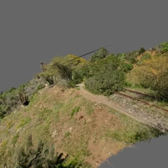Tren Arbóreo