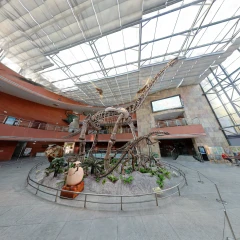 A Prehistoric Silhouette from Heyuan 🦖