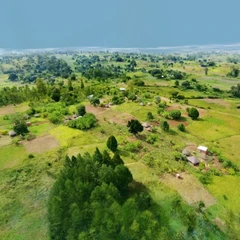Village in Uganda