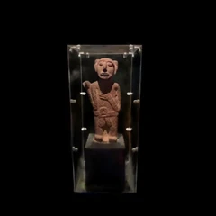 AMNH Test