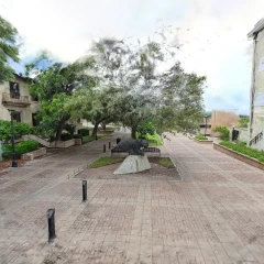 Texas State University Bobcat Statue