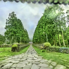 Gwaneumsa Temple, Jeju (July 17, 2026) - A Misty Summer Day captured in 3DGS