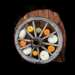 pumpkinwheel