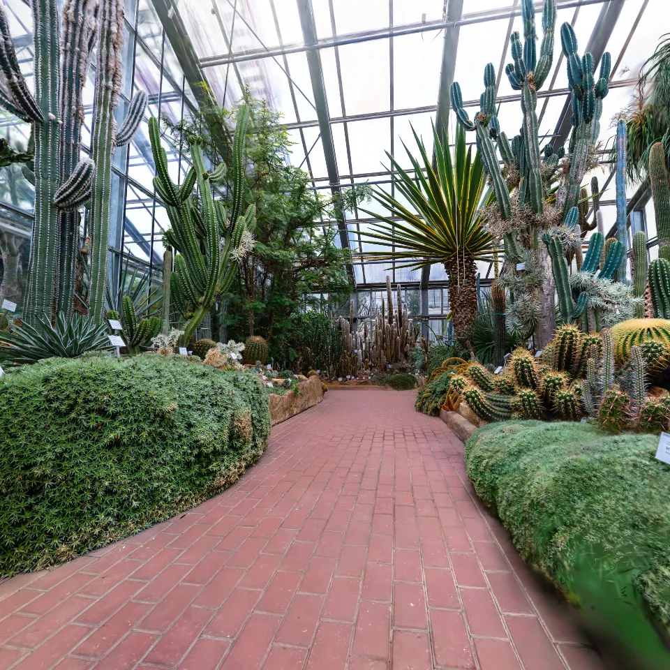 Botanical Garden - America v2 (VR Ready)