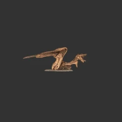 Driftwood_2