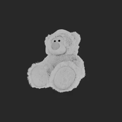 TEDDY BEAR – STUDY