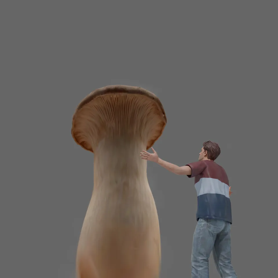 Never seen such a huge mushroom