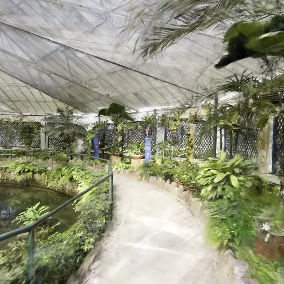 orquidario-jardim botanico - rj