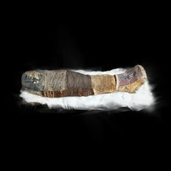 Mummy of a Child