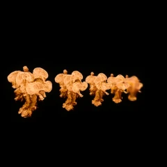 Potatosion