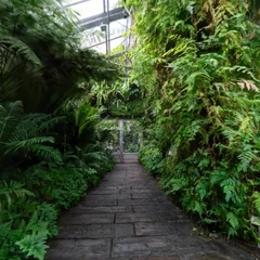 Botanical Garden - Nebula House v2 (VR Ready)
