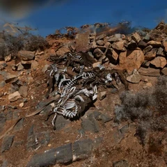 Goatdeath