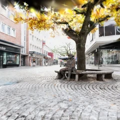 Kiel - Asmus Bremer