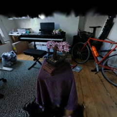 Mip-NeRF 360 Bonsai - Reconstructed with Seeget3D