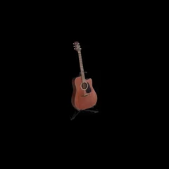Takamine Guitar