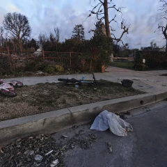 Los Angeles burned house with stroller