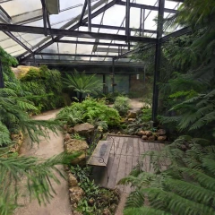 Greenshouse