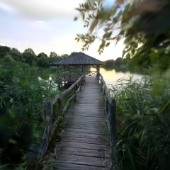 Pond shelter