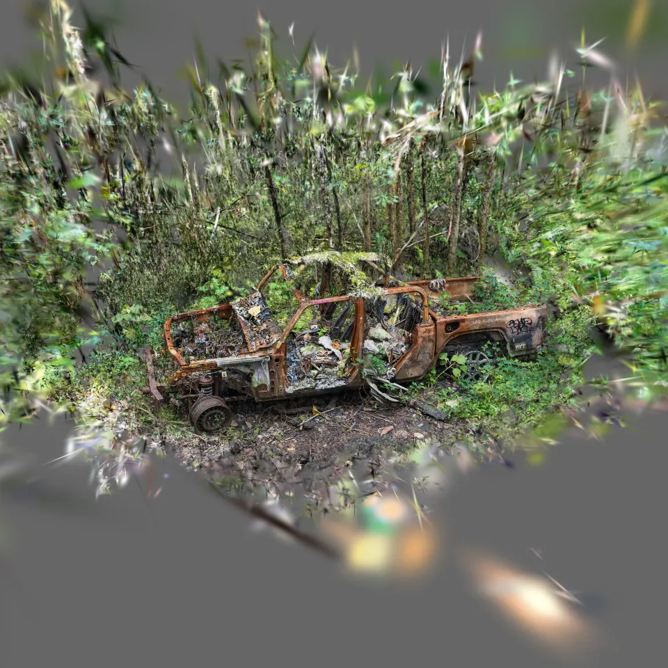 Abandoned Hawaiian Truck 