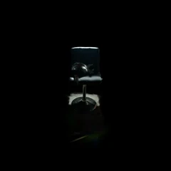 Kitty on a chair