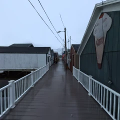 Boat Houses