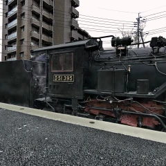 The D51 steam locomotive in front of Tokuyama Zoo