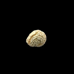 Quel Imaging Brain Phantom
