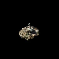 Stone_balance_2_-_El_Freser