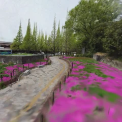  [Gaien Ginkgo Avenue] Minato Ward, Tokyo, Japan
