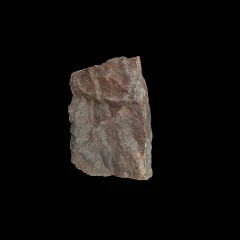 The rock 