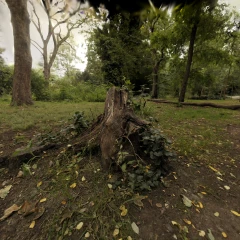 Mip-NeRF 360 Stump - Reconstructed with Seeget3D