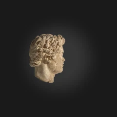 Greek Bust