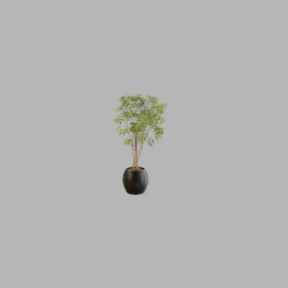 Example Potted Plant with 0 SH