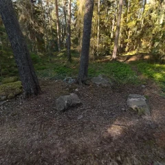 Trollskogen