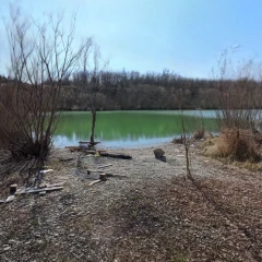 VID_20260322_125446_00_122_30000