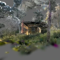 Elsa Gidlow's Cabin