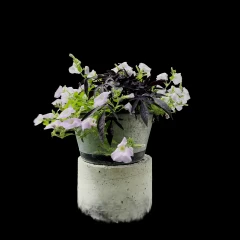 Summer Flowers (LF Studio)