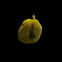 jackfruit