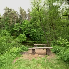 Hidden Bench at the Wadąg River - 3D Forest Scan